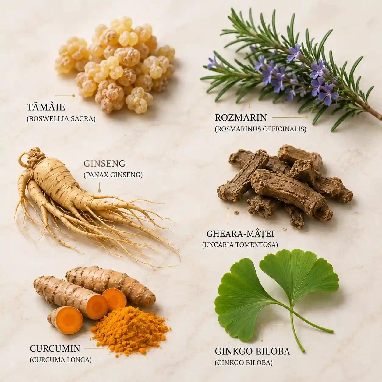 ingrediente tamaie