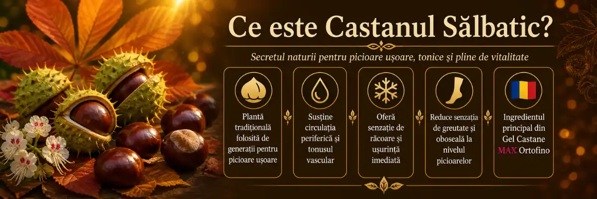 infografic castane